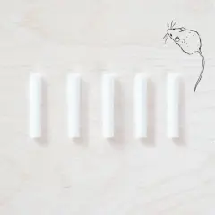 Tom's Studio Field Mouse