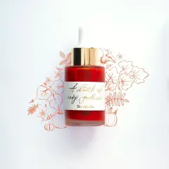 Tom's Studio Calligraphy Ink